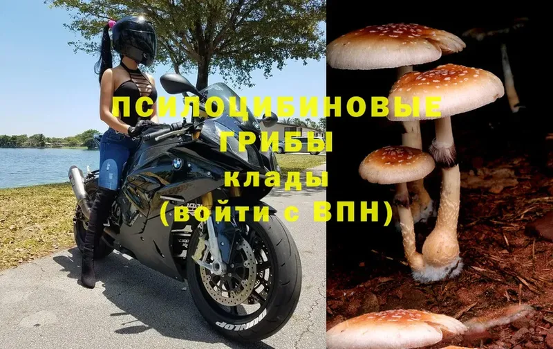 Псилоцибиновые грибы мухоморы  Красный Кут 